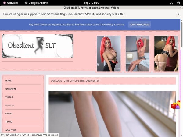 0bedientSLT Gay
