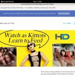 Americankittens Try Free