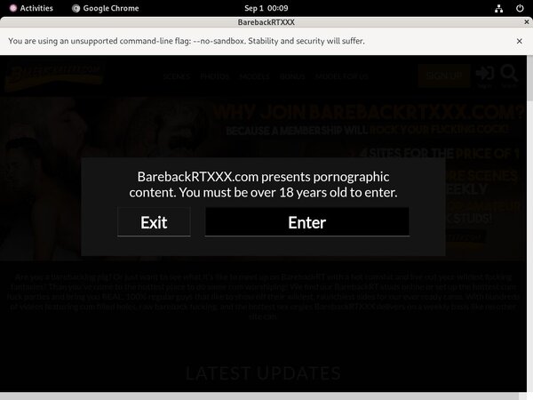 BarebackRT XXX Password Torrent
