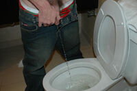 Boys Pissing Free Member s3