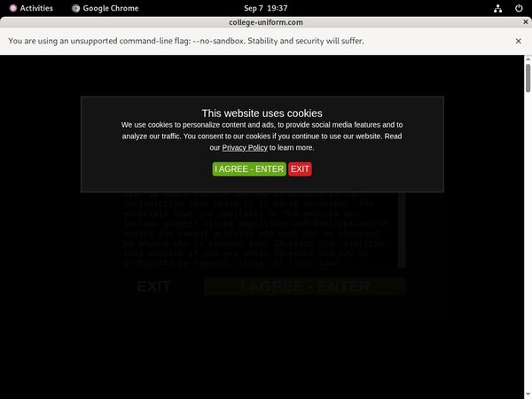 College Uniform Studentessa