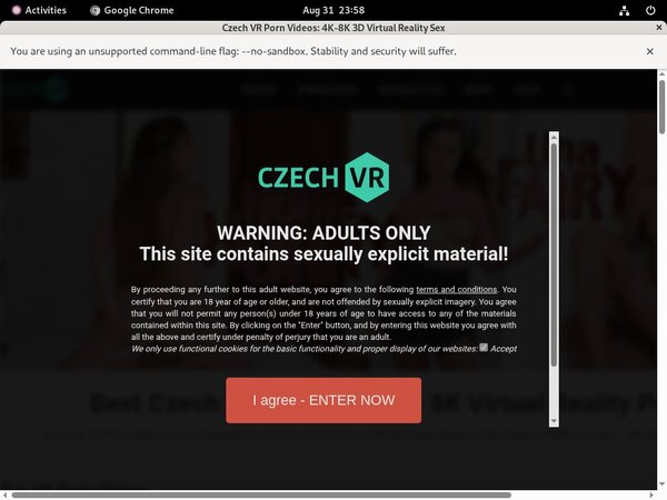 Czech VRpassword