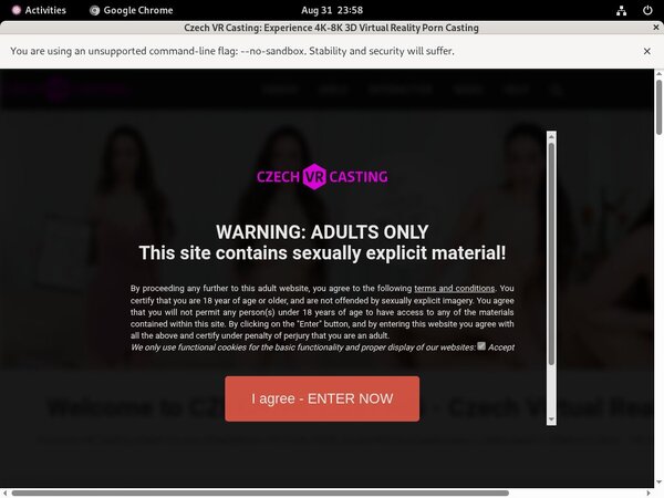Czechvrcasting.com Pass Codes