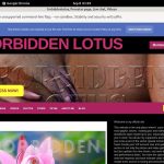 Daily Forbiddenlotus Account