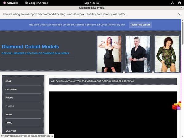 DiamondDivaMedia Login Info DiamondDivaMedia Login Info