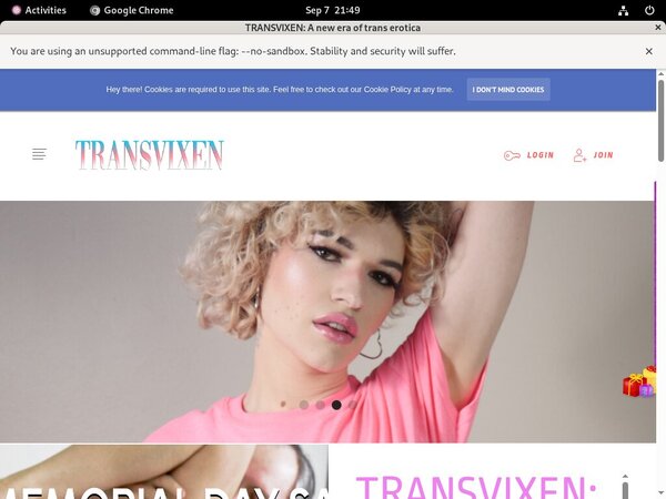 Discount On TransVixen