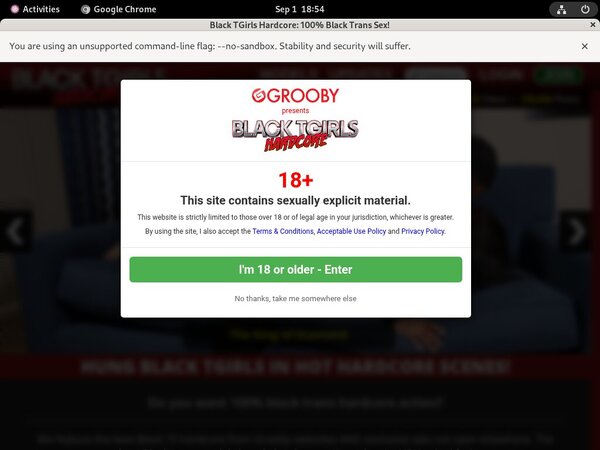 Download Black TGirls Hardcore