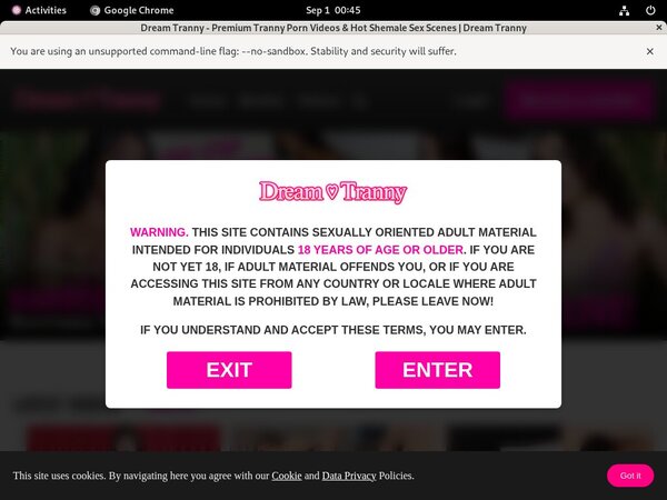 Dreamtranny.com Full Site