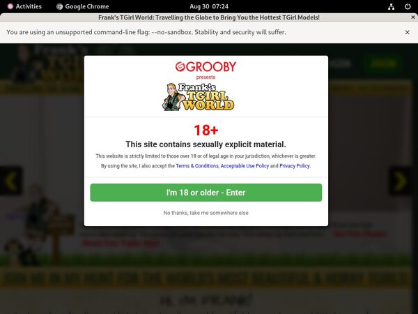 Frankstgirlworld Valid Password