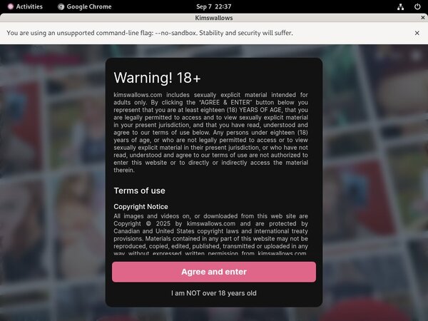 Free Accounts In Kimswallows