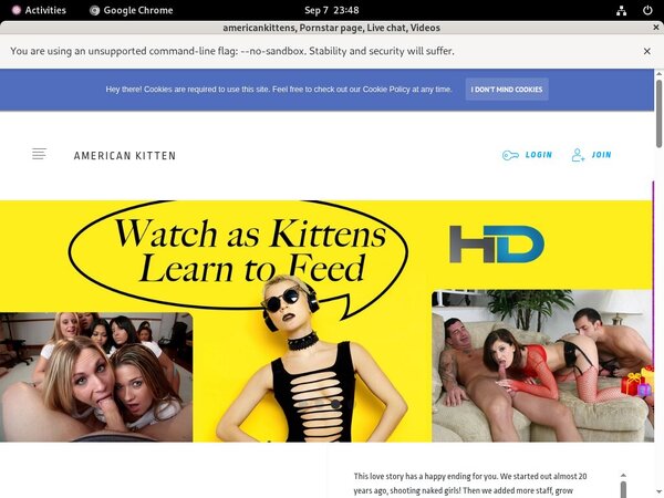 Free Americankittens Accounts