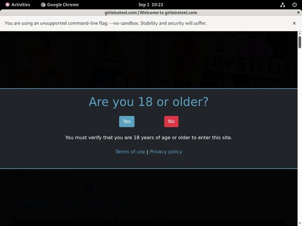 Free Girls In Steel Hacked Passwords