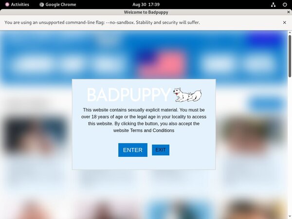 Free Password Badpuppy.com