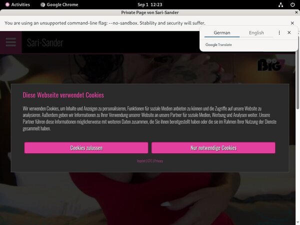 Free Sari Sander Premium Acc