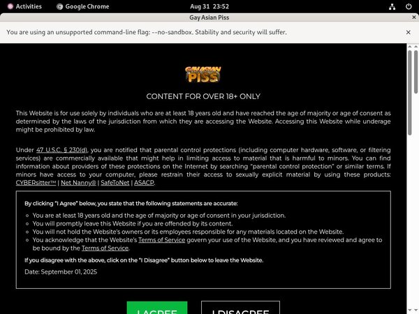 Gayasianpiss.com Official Site