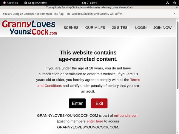 Granny Loves Young Cock Account Online