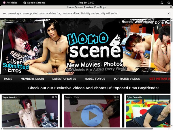 Homoscene.com Web Site