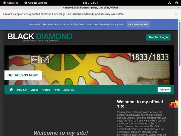 Honeyyleigh.modelcentro.com With JCB Card