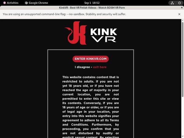 Kinkvr Passcodes