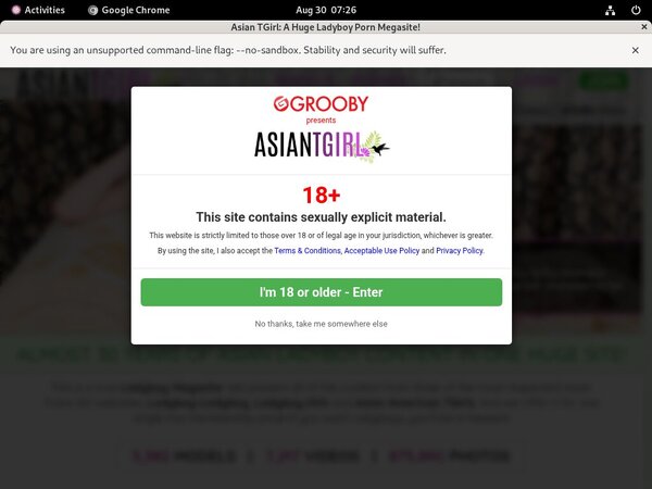 Ladyboy-ladyboy.com Exclusive Discount