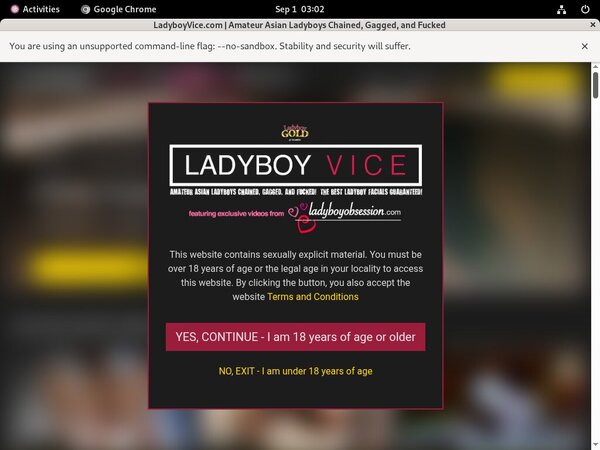 Ladyboyvice With SEPA Ladyboyvice With SEPA