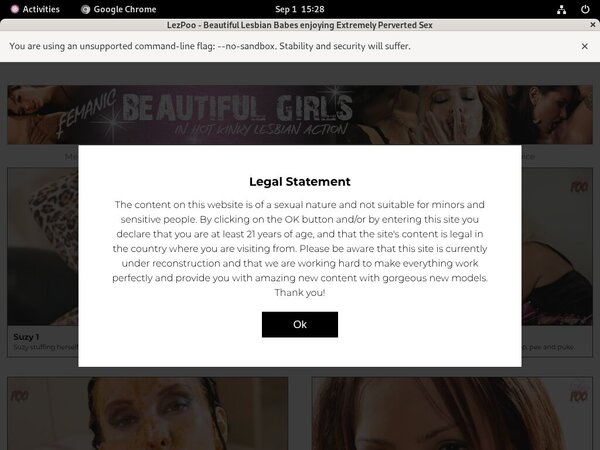 Lezpoo.com Pro Biller Page Lezpoo.com Pro Biller Page