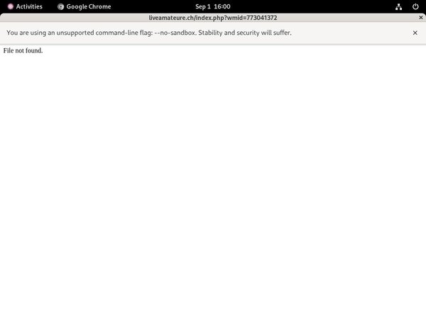 Live Amateure Porn Hub