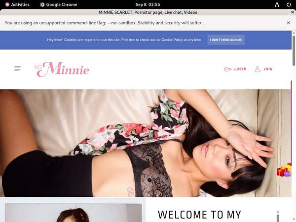 MINNIE SCARLET Codes