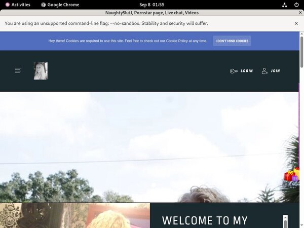 NaughtySlutJ Web Site