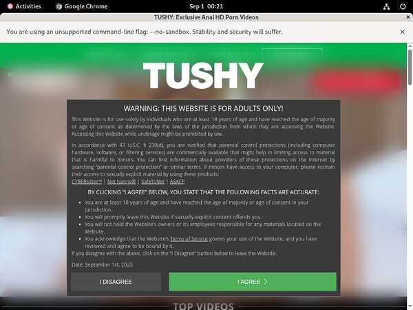 Porno Tushy