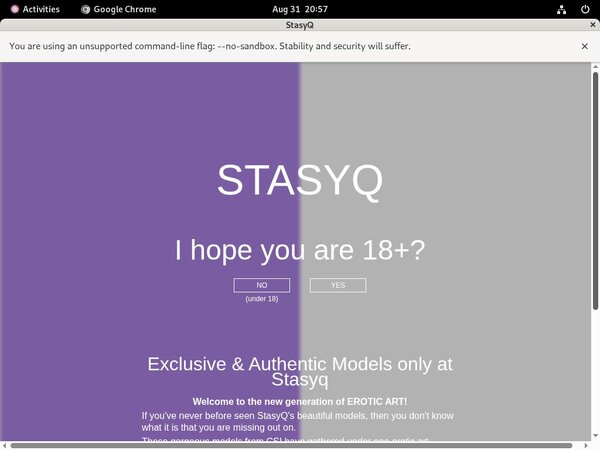 Stasyq Subscription