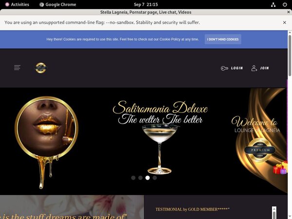 Stella Lagneia Epoch Paypal