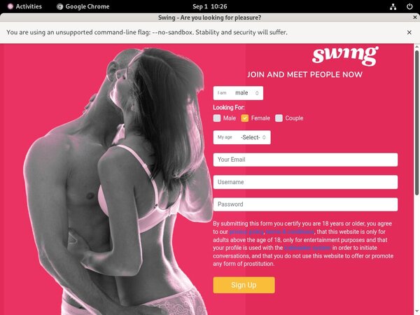 [Image: Swingnet-New.jpg]