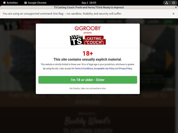 TS Casting Couch Yearly Membership TS Casting Couch Yearly Membership