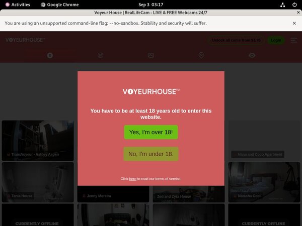 Voyeurhouse.com Free Sex