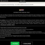 Workin Men XXX $1 Porn Trial