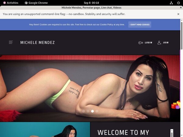 Working Michele Mendez Account