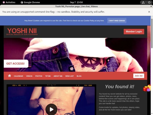 YoshiNii Adult Passwords