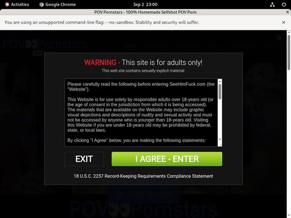 POV Pornstars Logins For Free