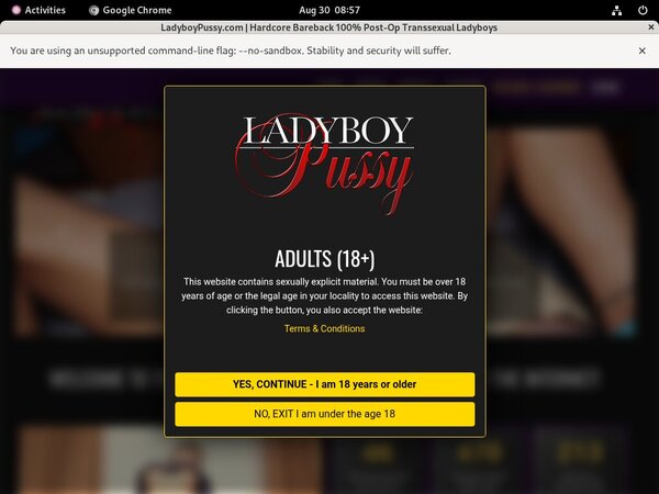 Ladyboy Pussy Discount Review