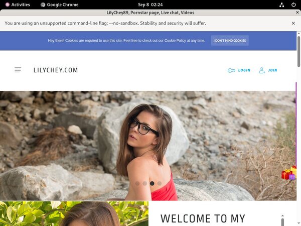 Lilychey.com Promo Tour