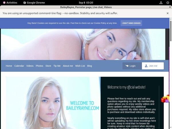 BaileyRayne Paypal Purchase