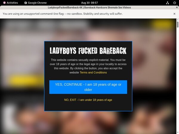 Free Account On Ladyboysfuckedbareback